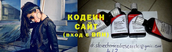 прущие грибы Абаза