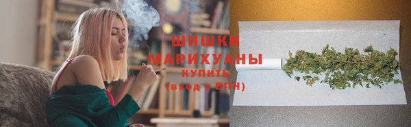 прущие грибы Карталы