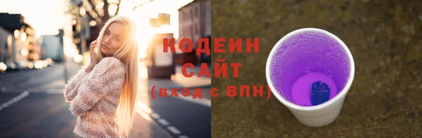 прущие грибы Абаза