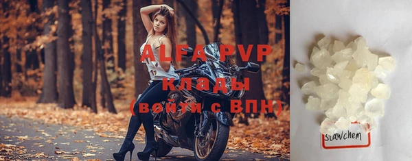 прущие грибы Абаза