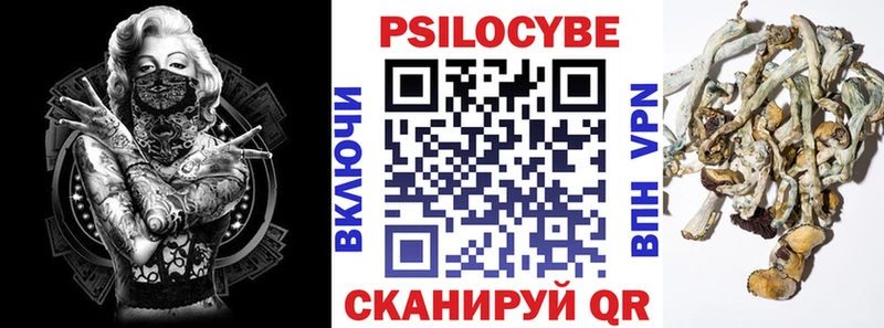 ОМГ ОМГ как зайти  Ясный  Галлюциногенные грибы мицелий 